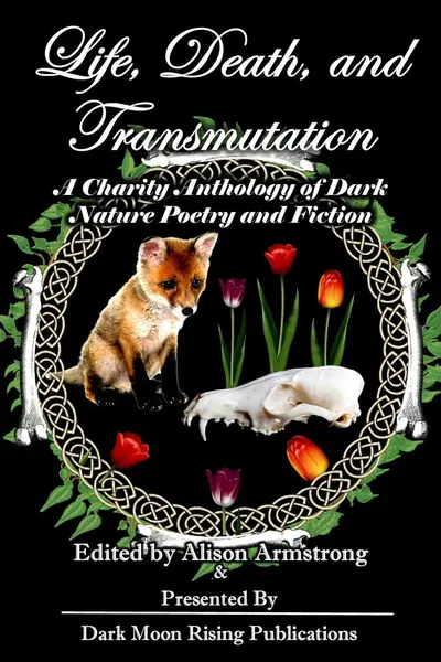 Life, Death, and Transmutation: A Charity Anthology of Dark Poetry and Fiction book cover