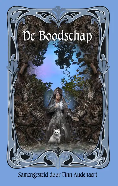 De boodschap: samengesteld door Finn Audenaert book cover