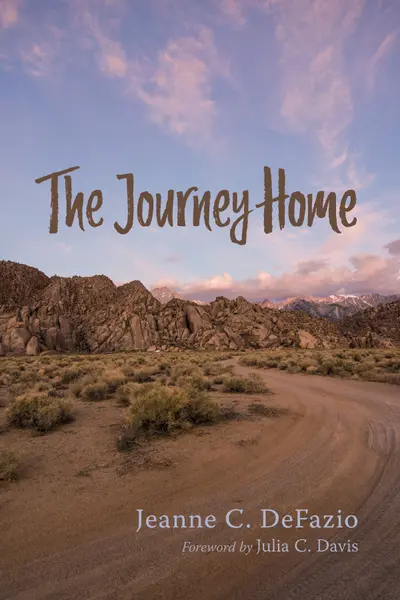 The Journey Home book cover