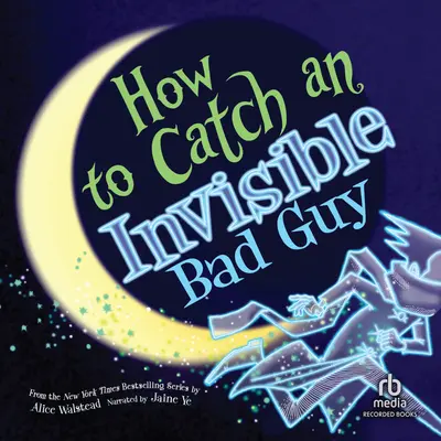 How to Catch an Invisible Bad Guy book cover