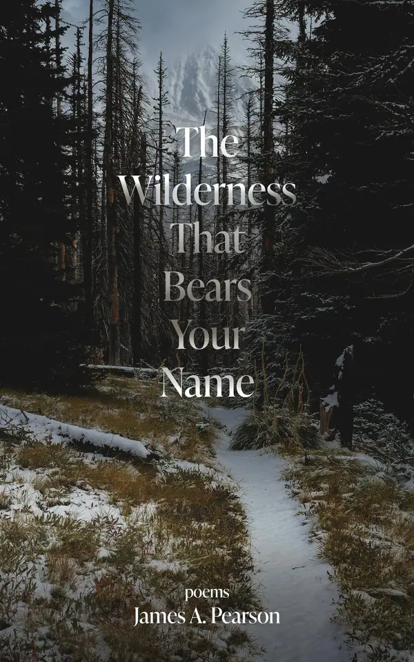 The Wilderness That Bears Your Name by James A Pearson cover