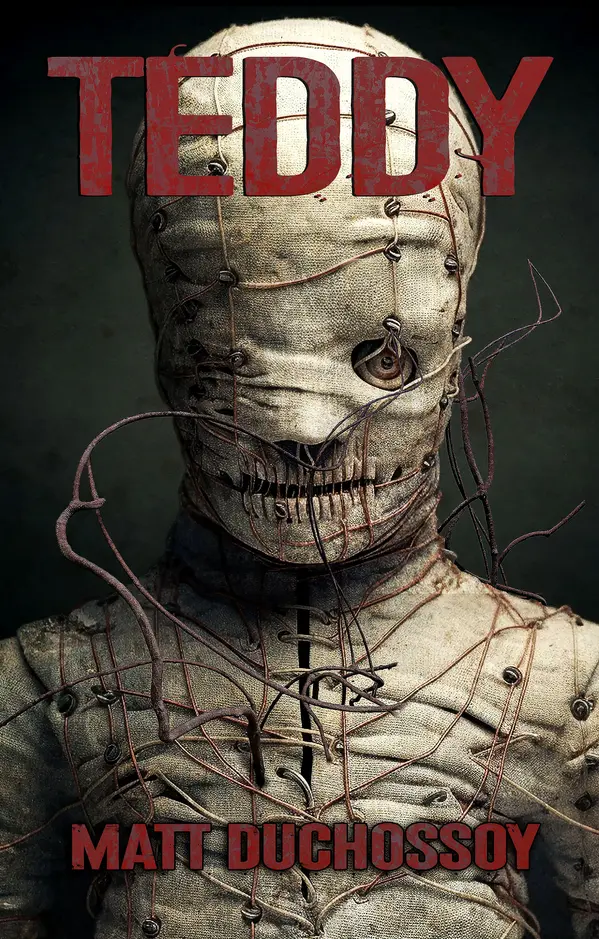 Teddy by Matt Duchossoy cover