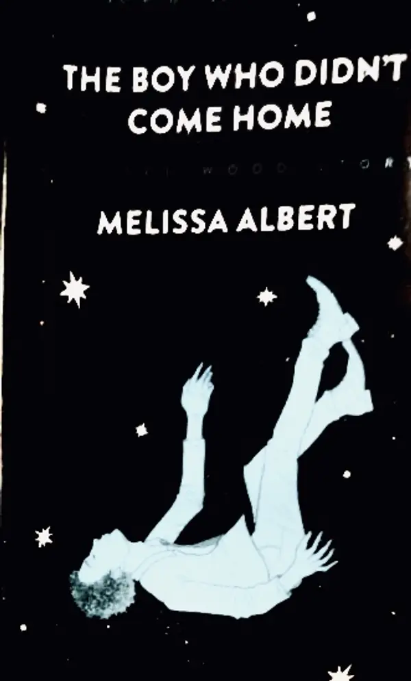 The Boy Who Didn't Come Home by Melissa Albert cover