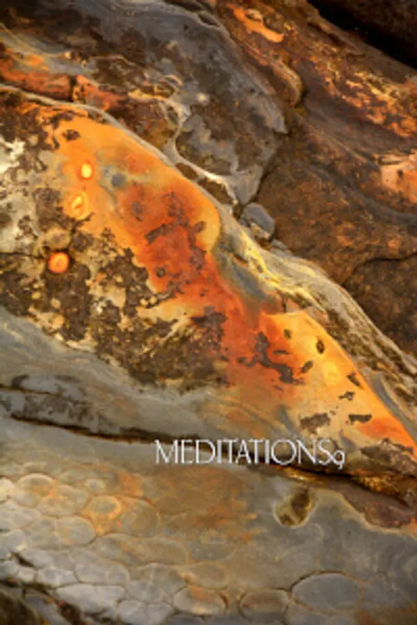 Meditations 9 by Thanissaro Bhikkhu cover
