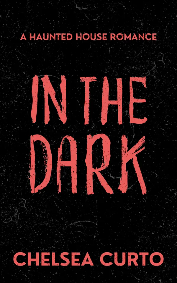 In The Dark by Chelsea Curto cover