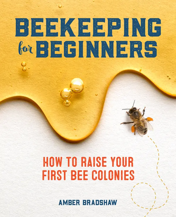 Beekeeping for Beginners by Amber Bradshaw cover