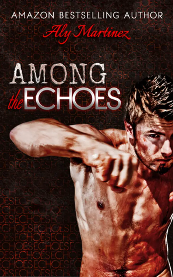 Among the Echoes (On the Ropes, #0.5) by Aly Martinez cover