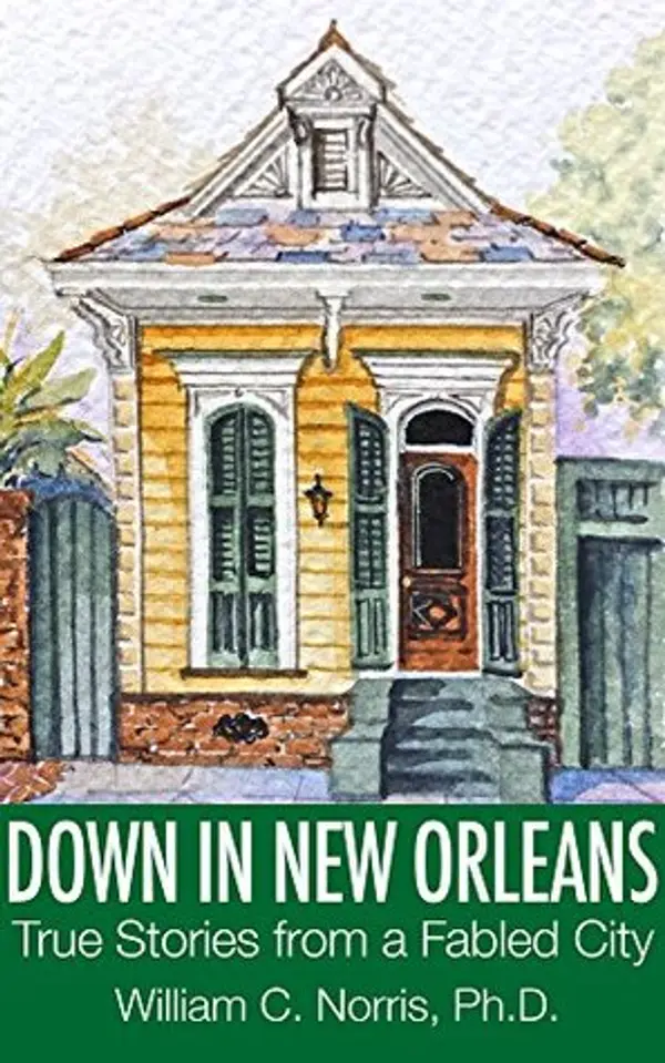 Down In New Orleans:: True Stories of a Fabled City by Bill  Norris cover