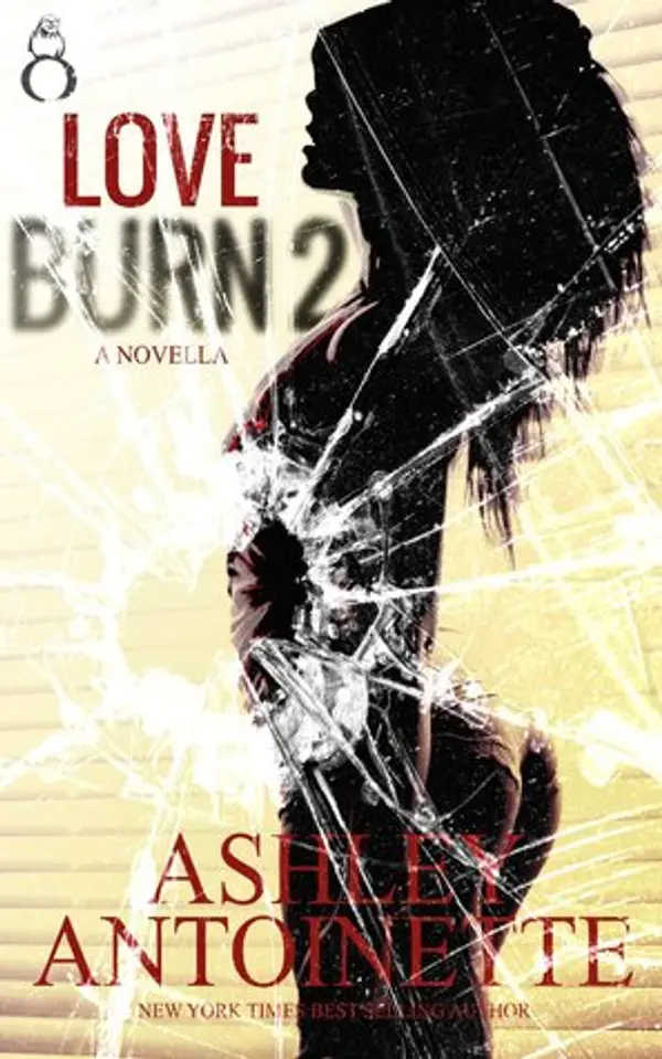 Love Burn 2 by Ashley Antoinette cover