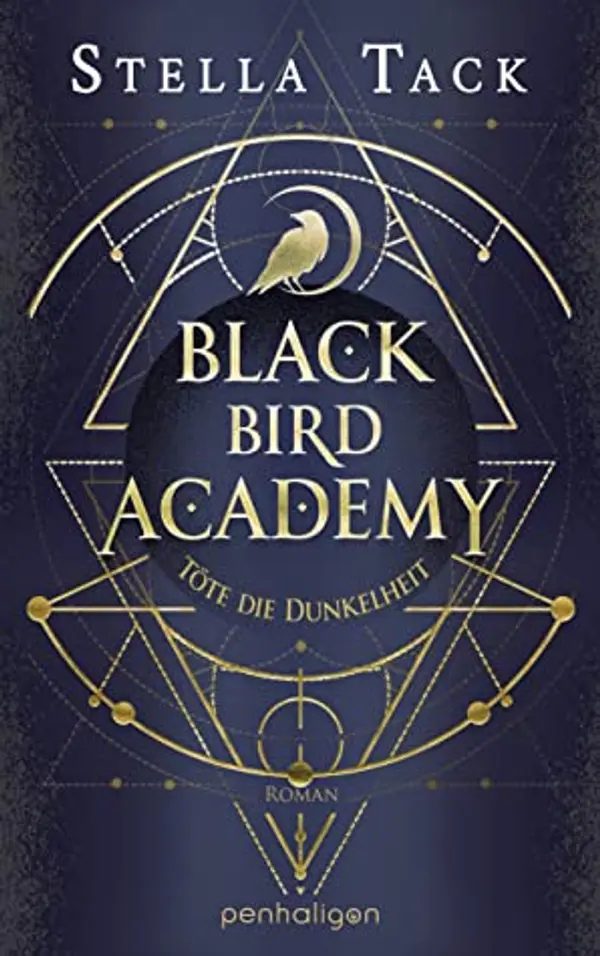 Töte die Dunkelheit (Black Bird Academy, #1) by Stella Tack cover