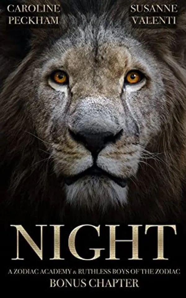 Night by Caroline Peckham cover