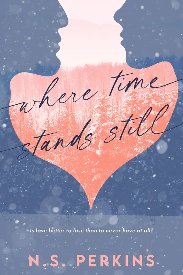 Where Time Stands Still by N.S. Perkins cover