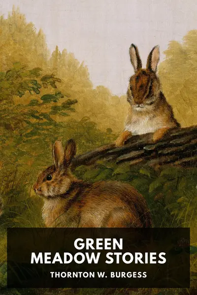 Green Meadow Stories book cover