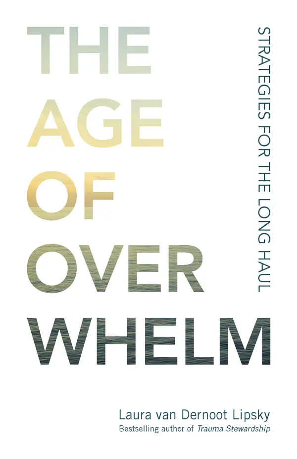 The Age of Overwhelm by Laura van Dernoot Lipsky cover