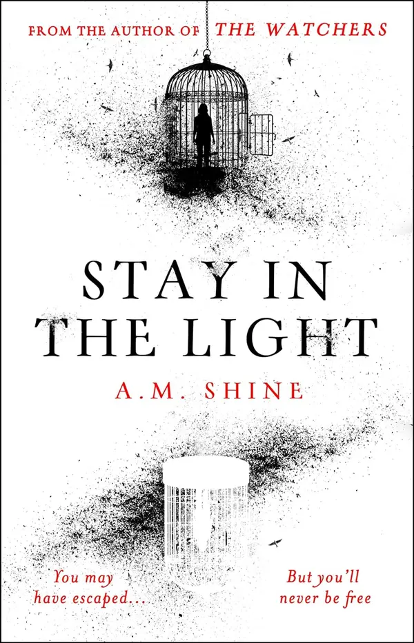 Stay in the Light by A.M. Shine cover
