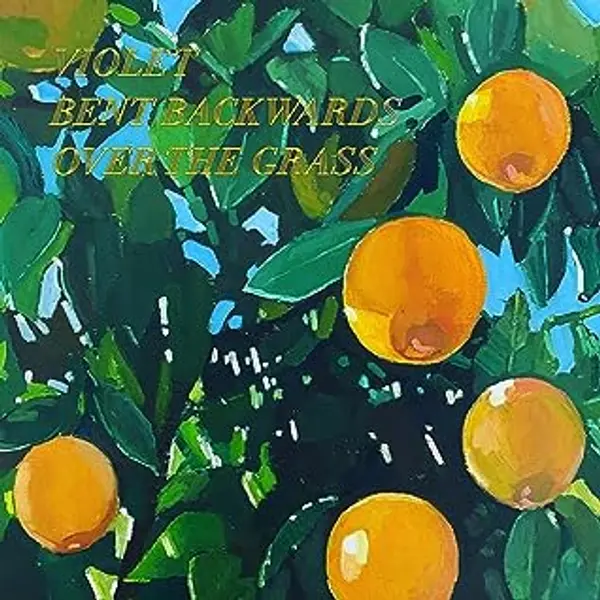 Violet Bent Backwards Over the Grass by Lana Del Rey cover