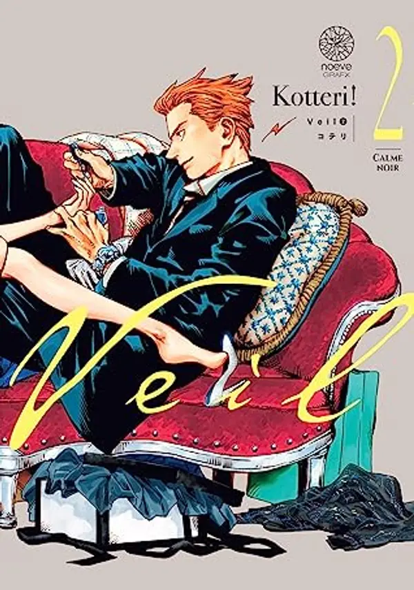Veil, Vol. 2 by Kotteri cover
