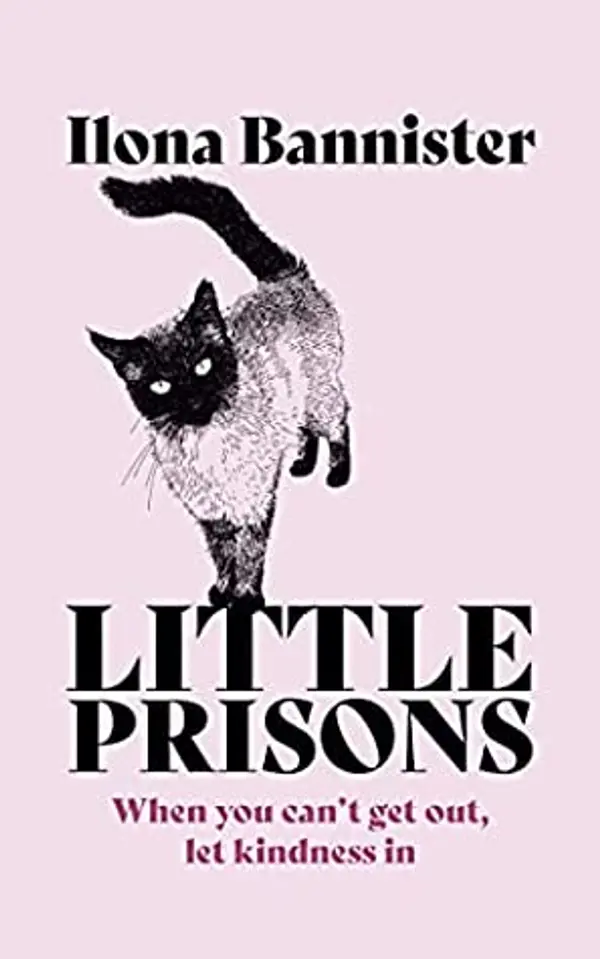 Little Prisons by Ilona Bannister cover