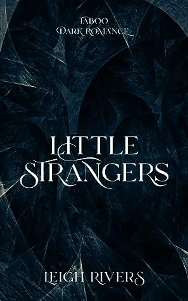 Little Stranger by Leigh Rivers cover
