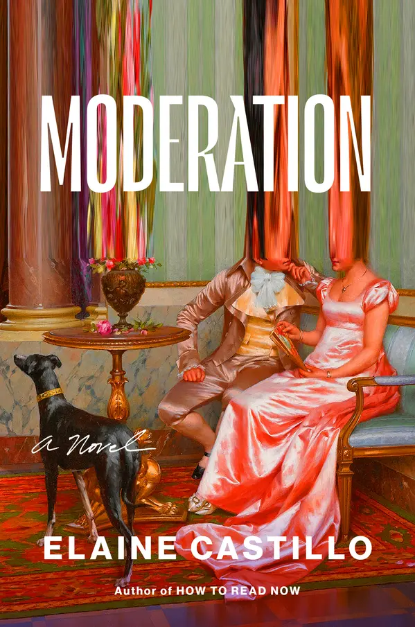 Moderation by Elaine Castillo cover
