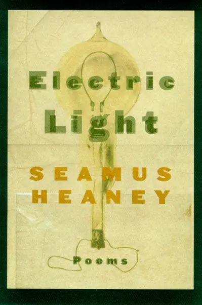 Electric Light book cover