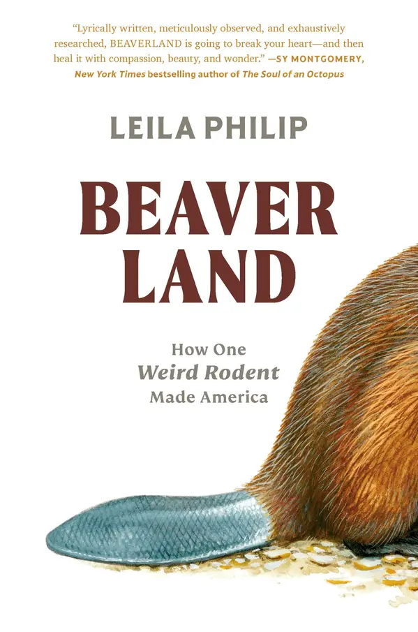 Beaverland by Leila Philip cover