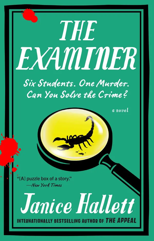 The Examiner by Janice Hallett cover