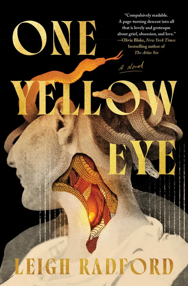 One Yellow Eye by Leigh Radford cover
