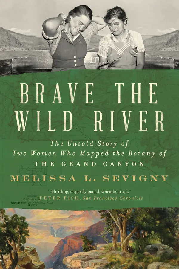 Brave the Wild River by Melissa L. Sevigny cover
