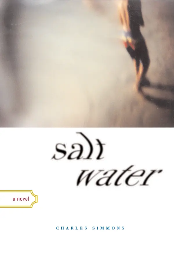 Salt Water by Charles Simmons cover