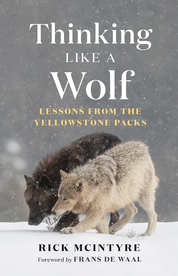 Thinking Like a Wolf by Rick McIntyre, Frans de Waal cover