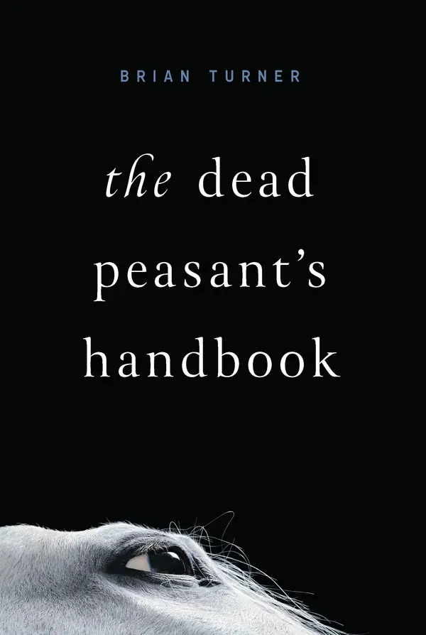 The Dead Peasant's Handbook by Brian Turner cover