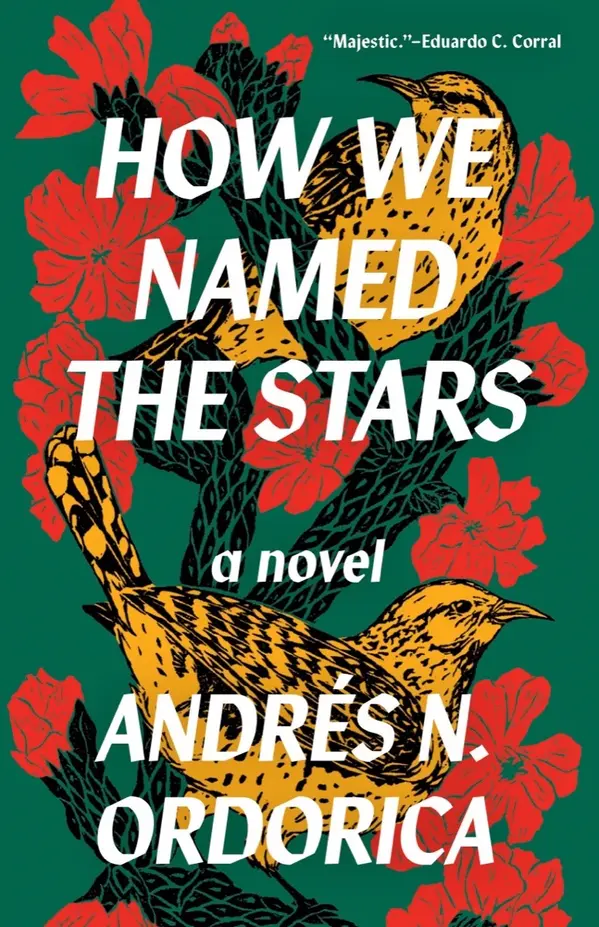 How We Named the Stars by Andrés N. Ordorica cover