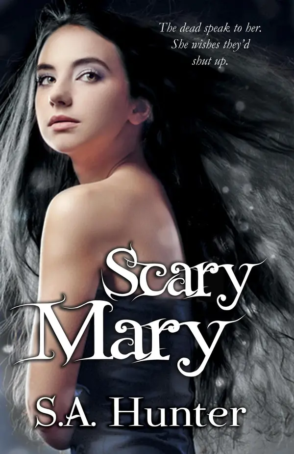 Scary Mary by S.A. Hunter cover