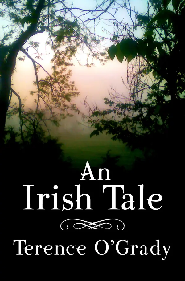 An Irish Tale by Terence O'Grady cover