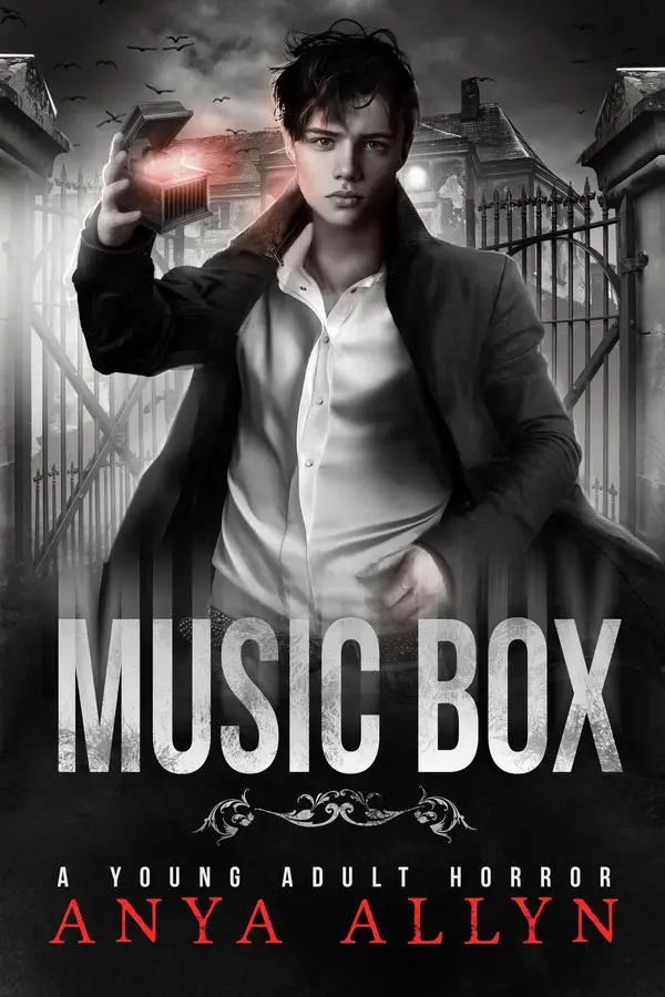 Music Box by Anya Allyn cover