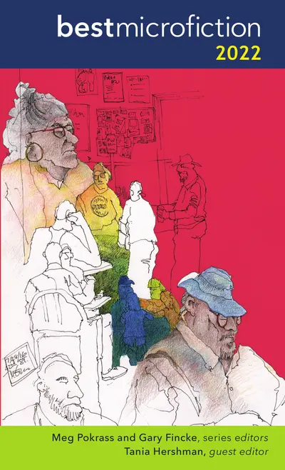 Best Microfiction 2022 book cover