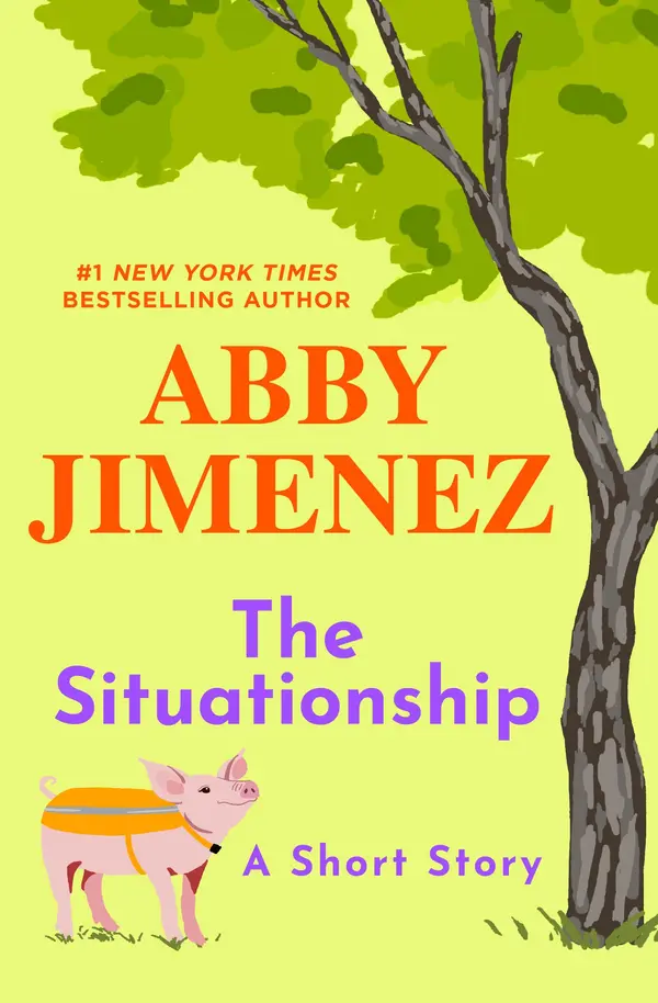 The Situationship by Abby Jimenez cover