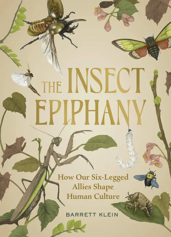 The Insect Epiphany by Barrett Klein cover