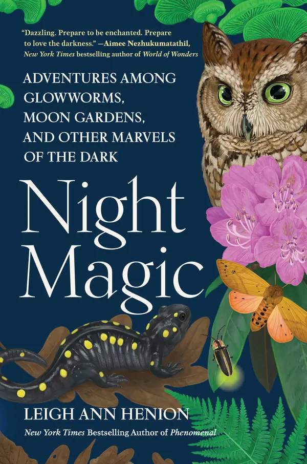 Night Magic by Leigh Ann Henion cover