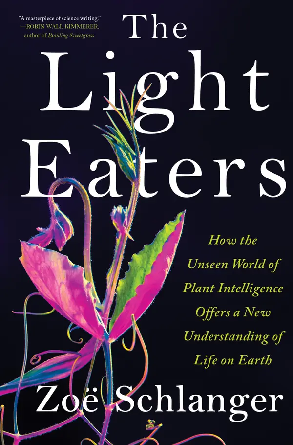 The Light Eaters by Zoë Schlanger cover