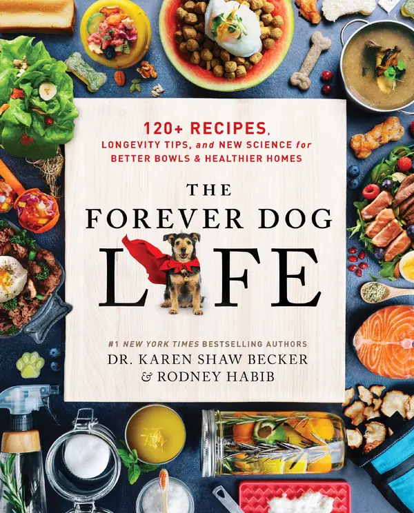 The Forever Dog Life by Rodney Habib, Karen Shaw Becker cover