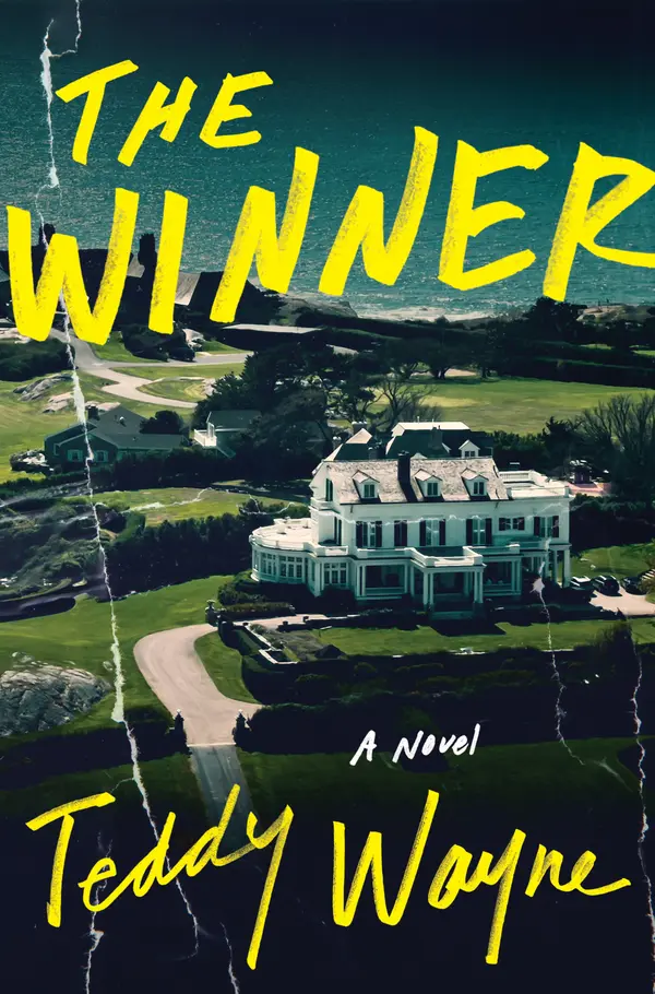 The Winner by Teddy Wayne cover