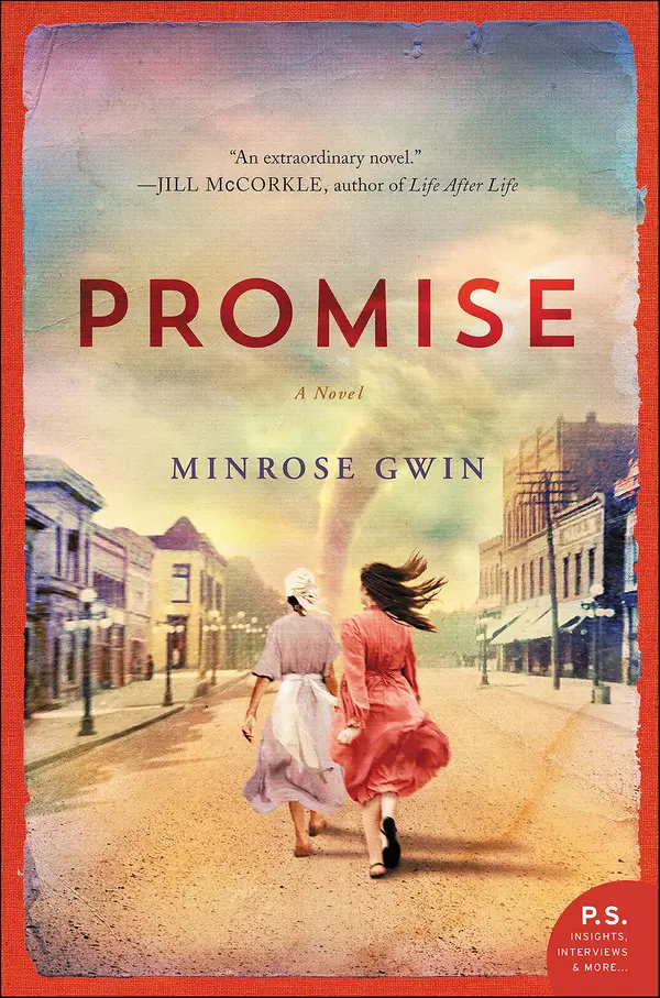 Promise by Minrose Gwin cover