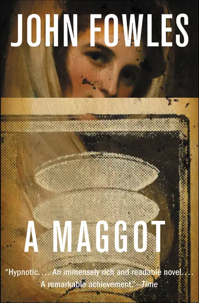 A Maggot book cover