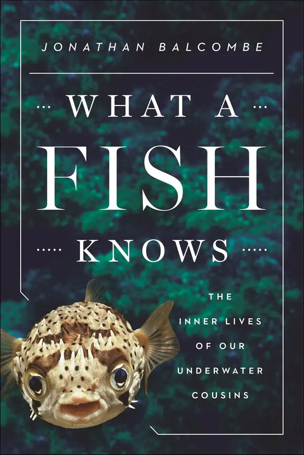 What a Fish Knows by Jonathan Balcombe cover