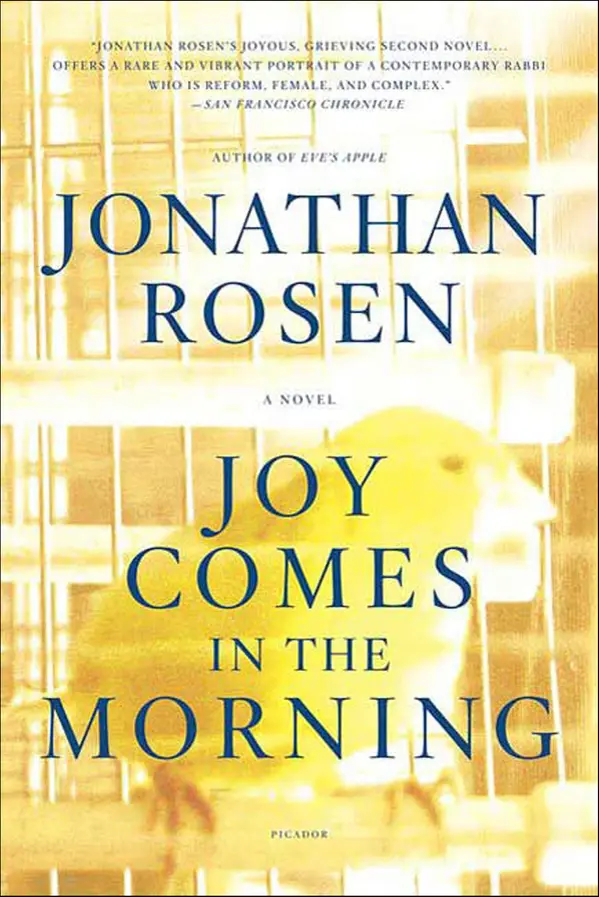 Joy Comes in the Morning by Jonathan Rosen cover