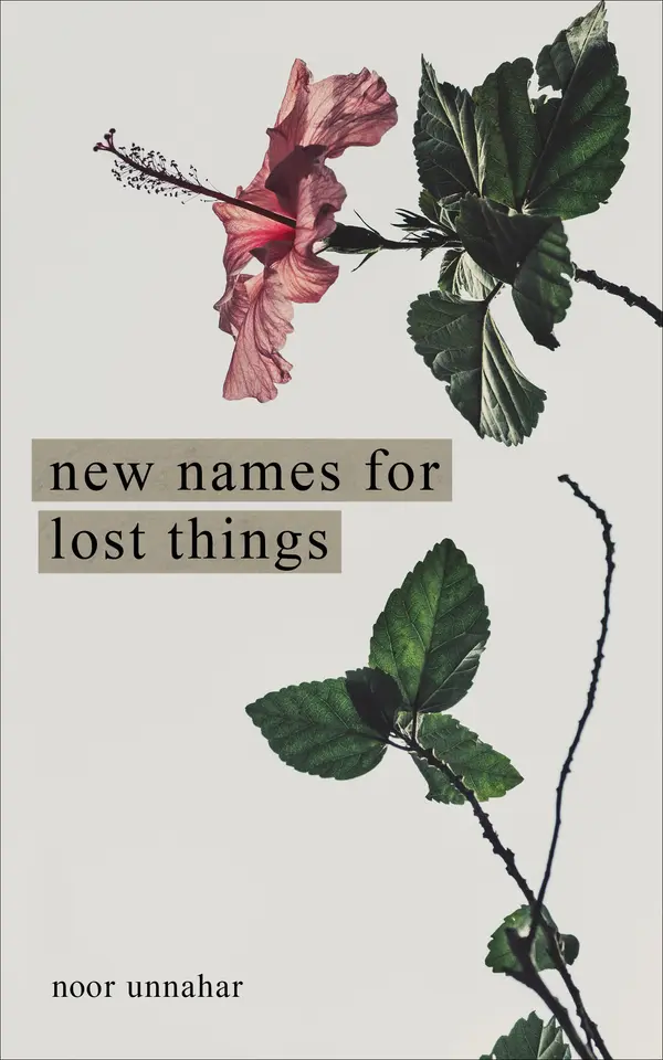 New Names for Lost Things by Noor Unnahar cover