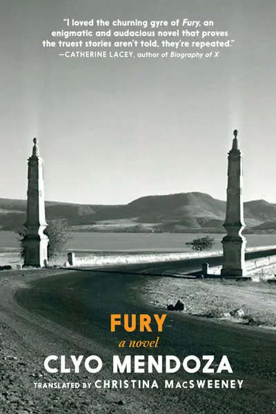 Fury book cover