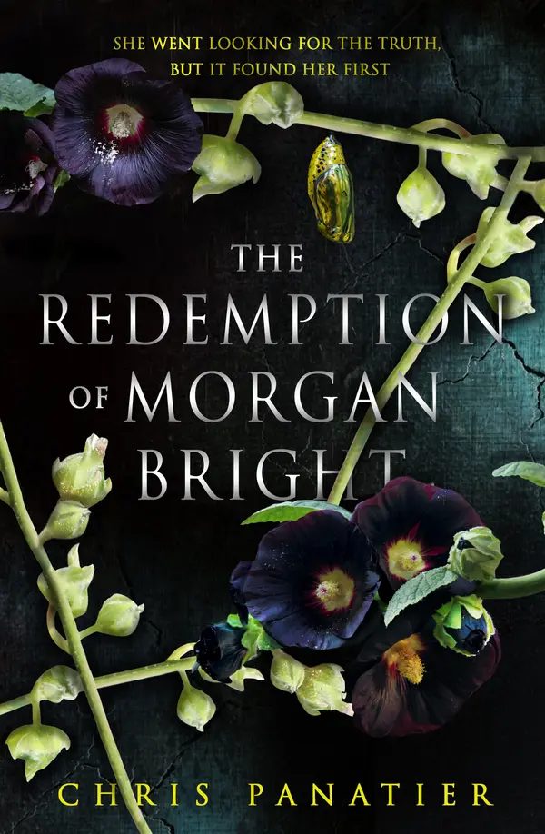 The Redemption of Morgan Bright by Chris Panatier cover